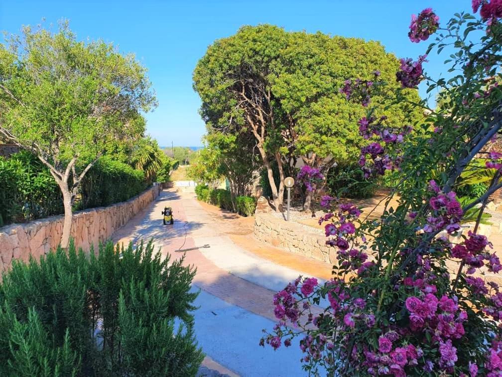 Villa Saba オルビア エクステリア 写真