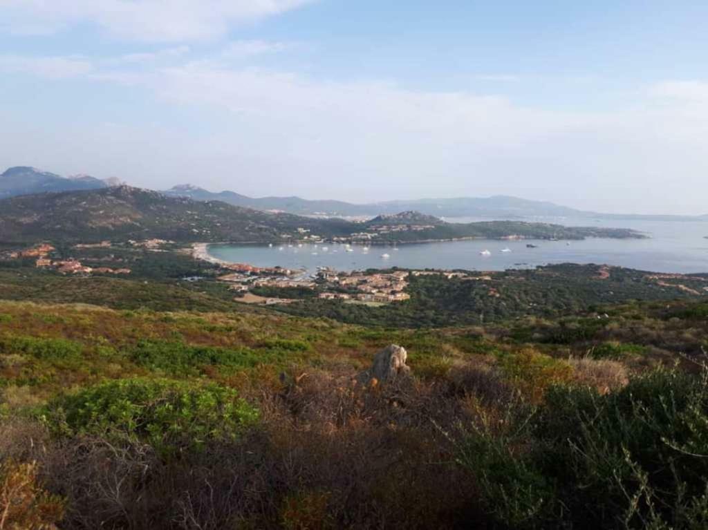 Villa Saba オルビア エクステリア 写真